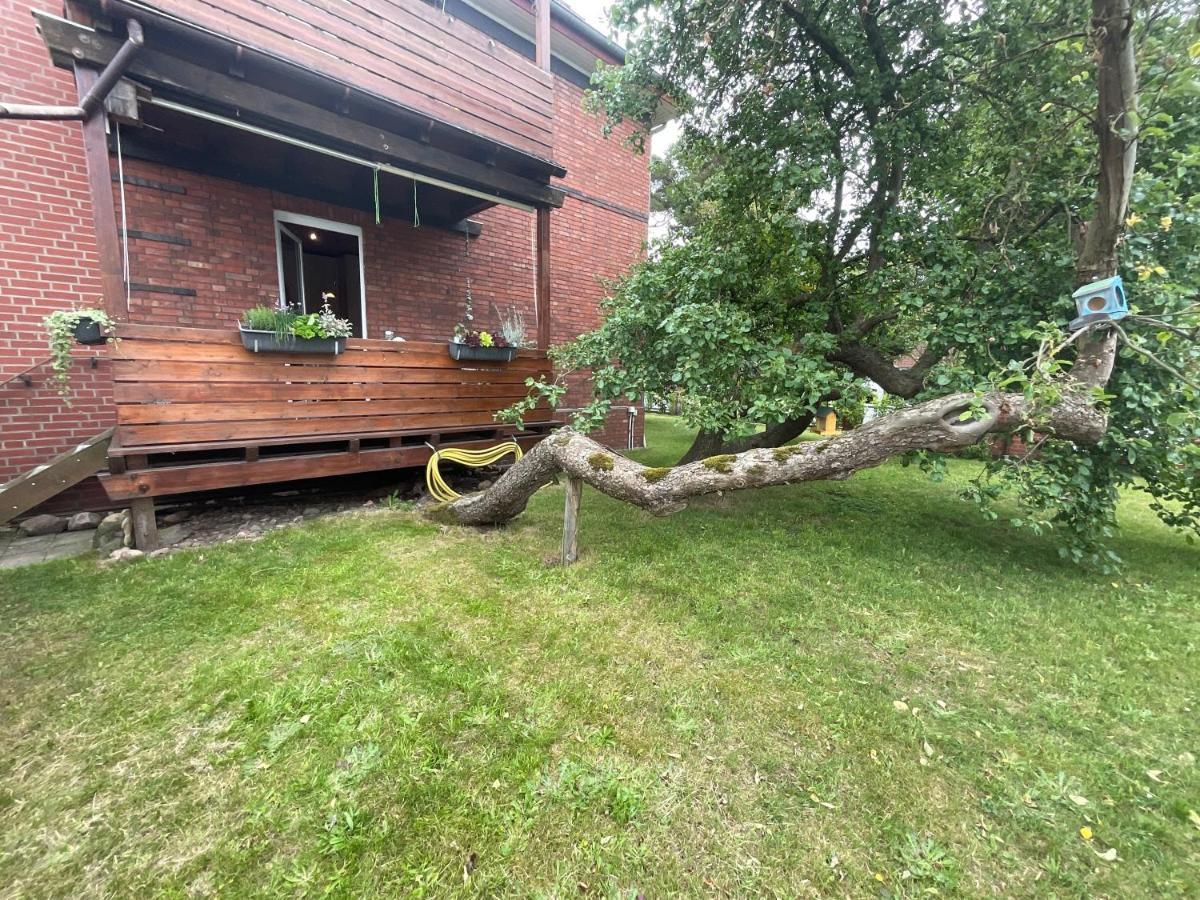 Ferienwohnung Am Kirschenbaum Steinhude Ngoại thất bức ảnh